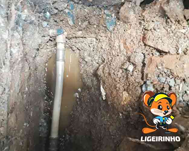Serviços Profissional de Manutenção de Vazamento